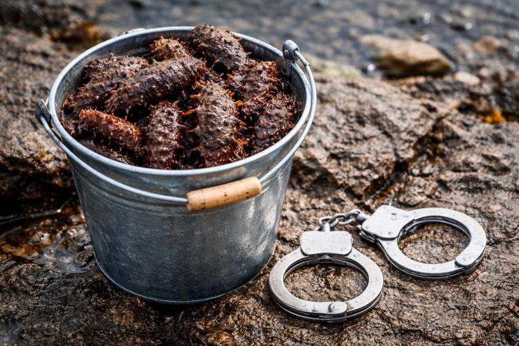 2026-02-19 10.56.32.jpg