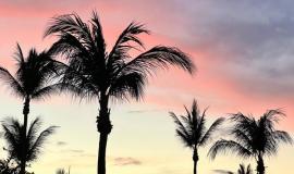 thumb_559060_news_xxxl (1).jpeg