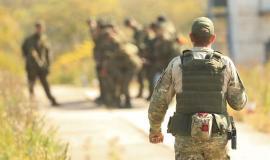 thumb_559685_news_xxxl (1).jpeg