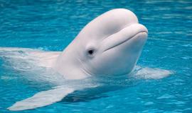 2026-02-20 10.38.31.jpg