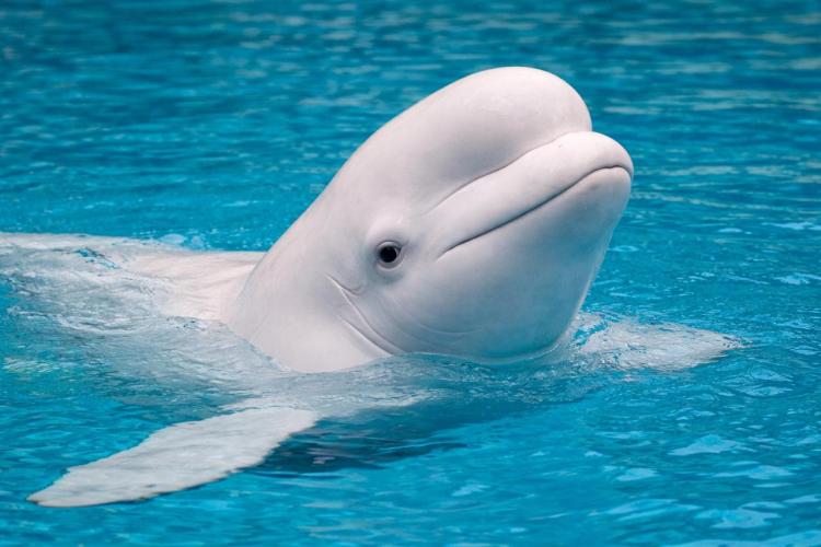 2026-02-20 10.38.31.jpg