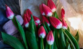 2026-02-21 08.57.54.jpg