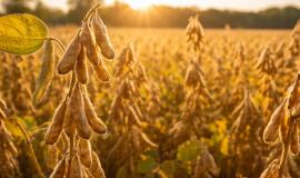 2026-02-21 10.08.16.jpg