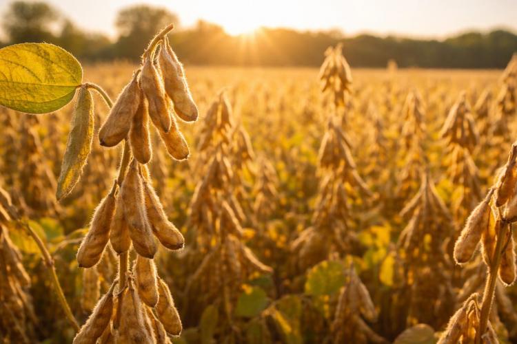 2026-02-21 10.08.16.jpg