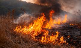 2026-02-25 09.56.31.jpg