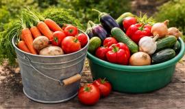 2026-02-25 10.01.35.jpg