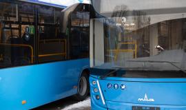 VPOPAT-avtobusy-glava-_10_.jpg