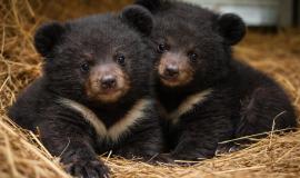 2026-02-27 10.44.40.jpg