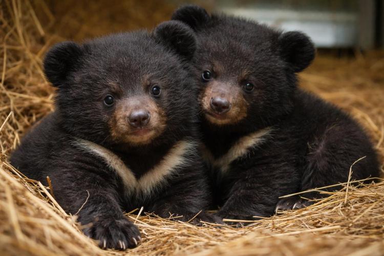 2026-02-27 10.44.40.jpg