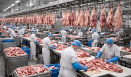 2026-03-03 09.48.11.jpg