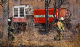 6ubqbinqoqp1e65udqzndps6mcjako1g (1).jpg