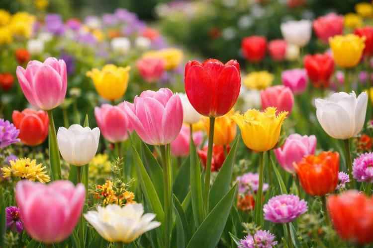 2026-03-04 09.56.17.jpg