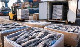 2026-03-04 10.43.48.jpg