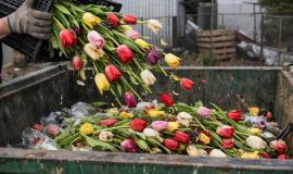 2026-03-04 10.46.55.jpg