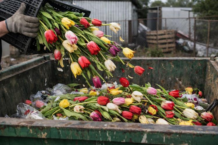 2026-03-04 10.46.55.jpg