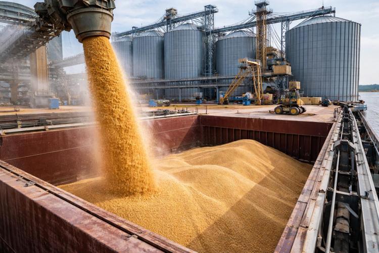 2026-03-05 09.38.22.jpg