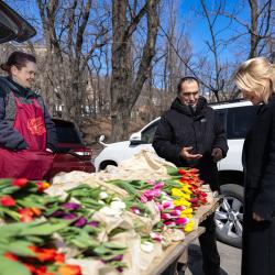 В этом году под нестационарную торговлю выделено 44 официальных места #1