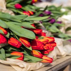 В этом году под нестационарную торговлю выделено 44 официальных места #2