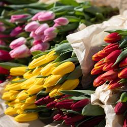 В этом году под нестационарную торговлю выделено 44 официальных места #5