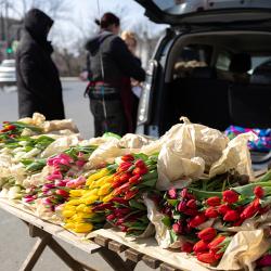 В этом году под нестационарную торговлю выделено 44 официальных места #7