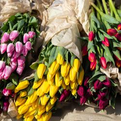 В этом году под нестационарную торговлю выделено 44 официальных места #8