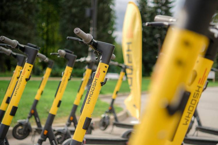 2026-03-06 10.04.27.jpg