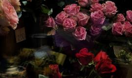 thumb_559813_news_xxxl (1).jpeg