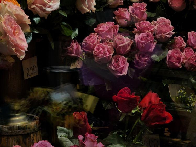 thumb_559813_news_xxxl (1).jpeg