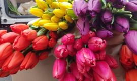 thumb_560771_news_xxxl (1).jpeg