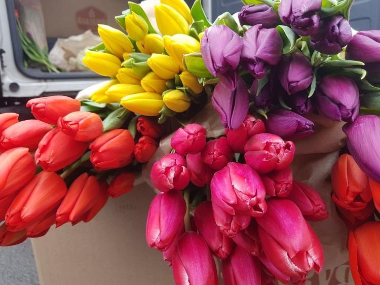 thumb_560771_news_xxxl (1).jpeg