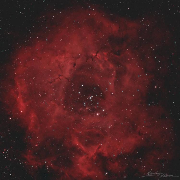 Без имени.jpg