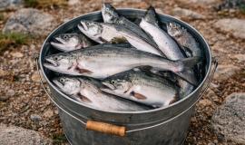 2026-03-10 9.43.56 AM.jpg