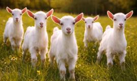 2026-03-11 10.13.58 AM.jpg