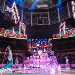 Главная техническая особенность шоу, которая сразу приковывает внимание зрителей — уникальный видео-манеж #1