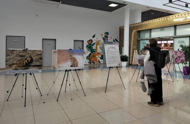 2026-03-12 10.51.47 AM.jpg