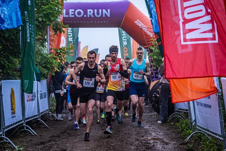 IMGP9172-Улучшено-Ум. шума.jpg