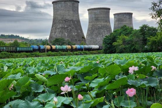 thumb_556234_news_xxxl (1).jpeg