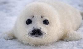 2026-03-30 10.45.08 AM.jpg