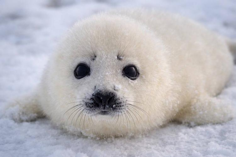 2026-03-30 10.45.08 AM.jpg