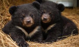 2026-03-31 9.46.42 AM.jpg