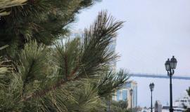 2026-04-02 9.42.43 AM.jpg