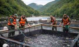 2026-04-02 11.40.12 AM.jpg