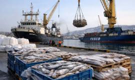 2026-04-03 9.38.36 AM.jpg