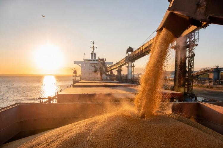 2026-04-06 10.37.12 AM.jpg