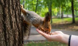 2026-04-06 10.42.20 AM.jpg