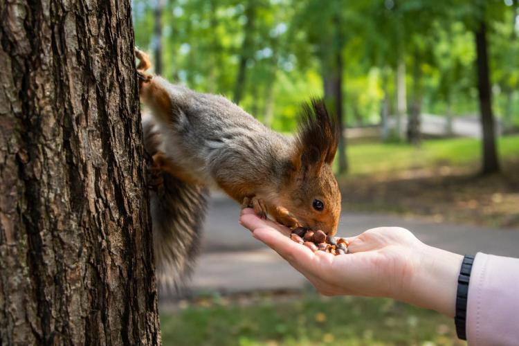 2026-04-06 10.42.20 AM.jpg