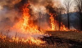 2026-04-06 11.16.00 AM.jpg