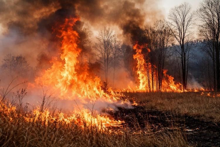 2026-04-06 11.16.00 AM.jpg