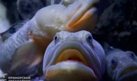 2026-04-07 9.55.51 AM.jpg