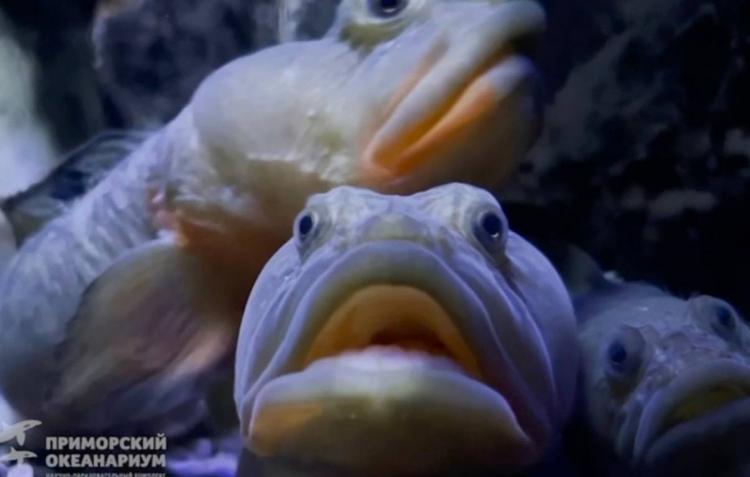 2026-04-07 9.55.51 AM.jpg